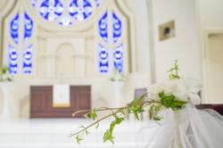 相思相愛ですがなにか？