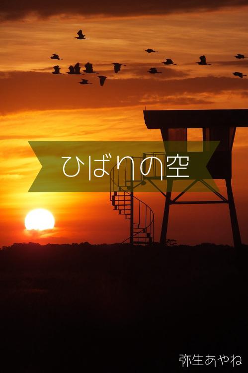 ひばりの空