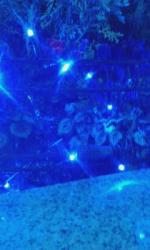 切片詩集　限界セグメント