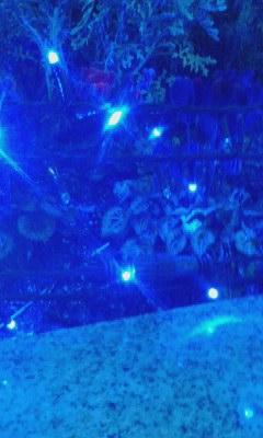 切片詩集 限界セグメント