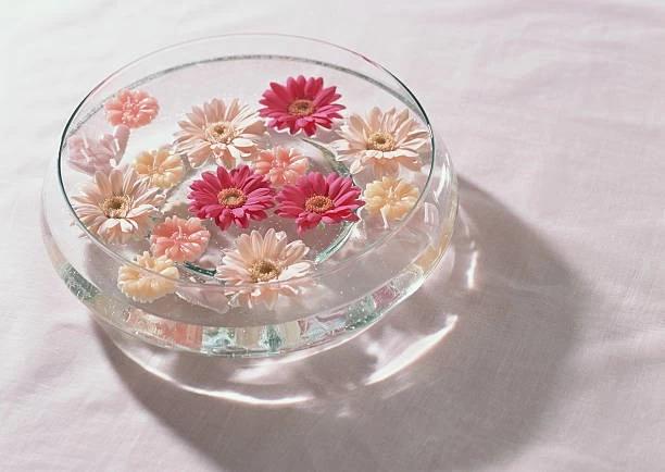 王子様とお姫様の秘密の決断