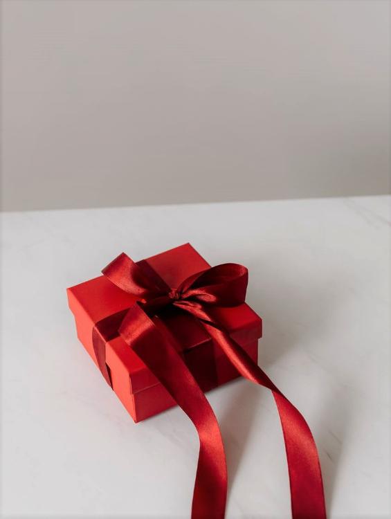 かりそめの関係でしたが、独占欲強めな彼の愛妻に指名されました