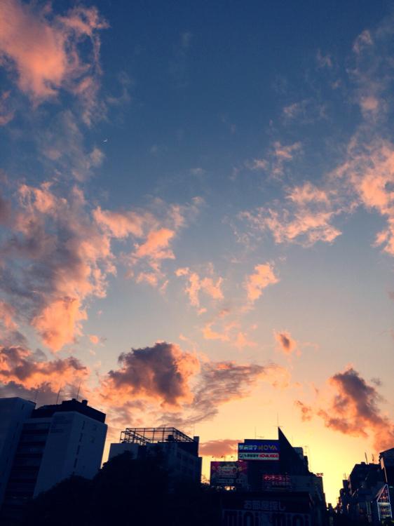 一番、伝えたかったこと