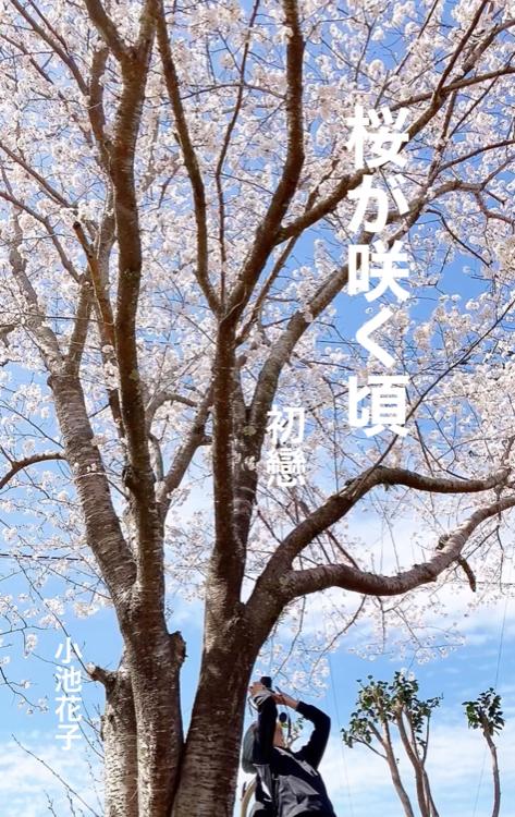 桜が咲く頃~初戀~