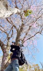 桜が咲く頃～初戀～