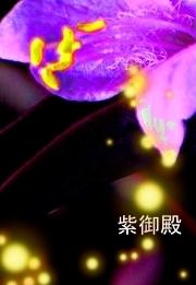 紫御殿†Purple heart