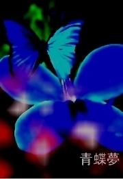 青蝶夢　*Ⅱ*