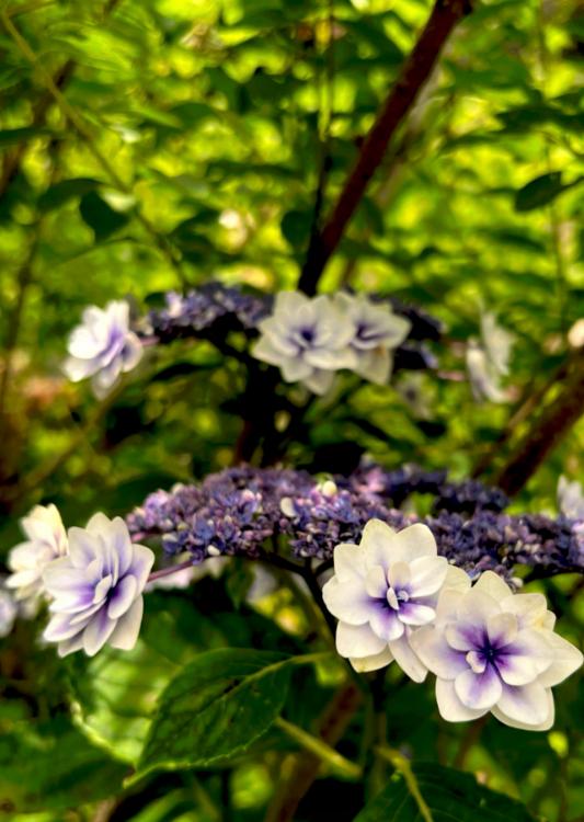 年下の君に恋をして