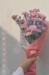 はじまりはステレオタイプの告白