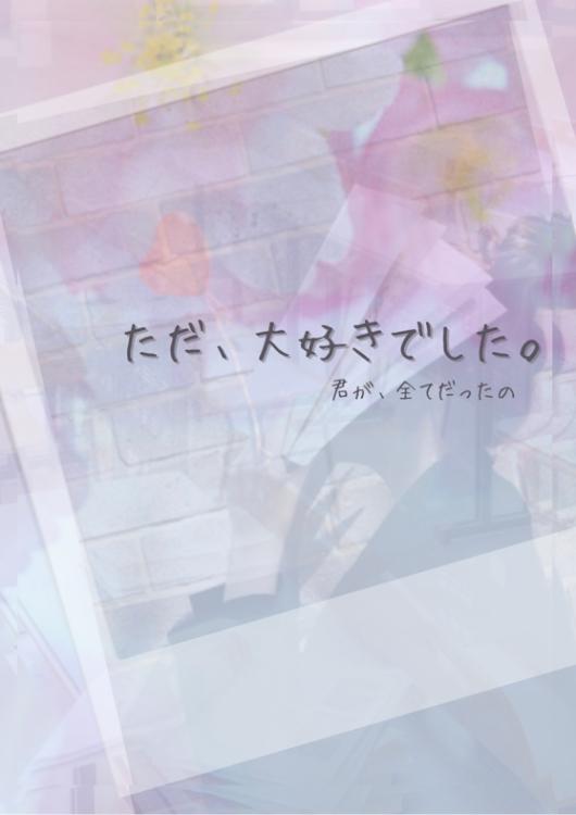 ただ、大好きでした。