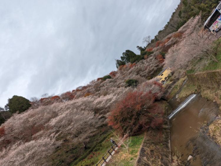 ぶっきらぼうなロマンチスト