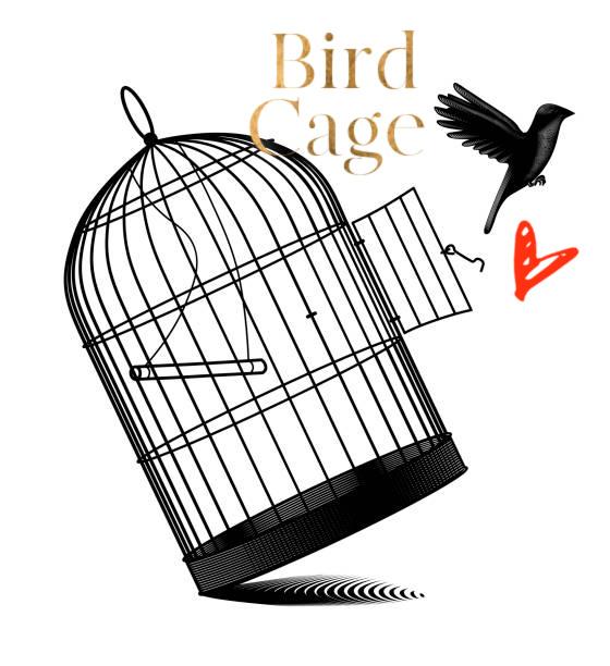 Ｂird Cage