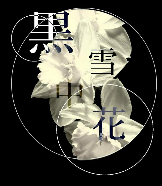 黒雪中花　-Narcisse Noir-