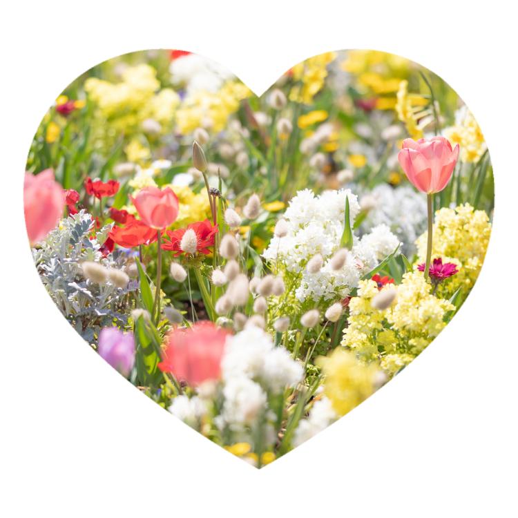 この恋は少しずつしか進まない