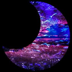 首筋に、甘噛み。