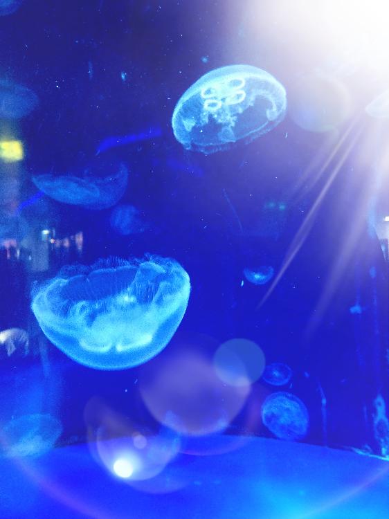 あの頃、きみといくつもの朝を数えた。―10years―