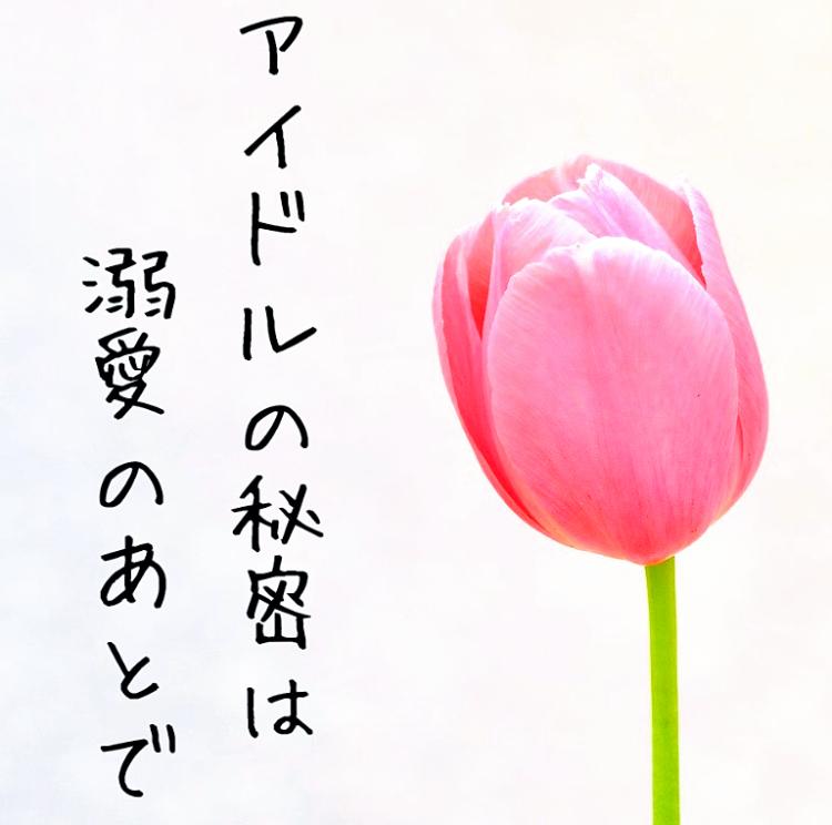 アイドルの秘密は溺愛のあとで【限定公開】