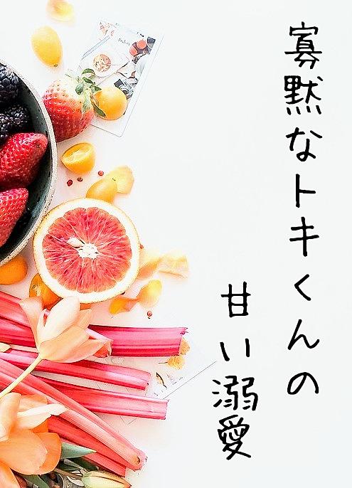 寡黙なトキくんの甘い溺愛