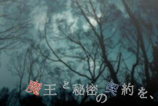 魔王と秘密の契約を(仮)