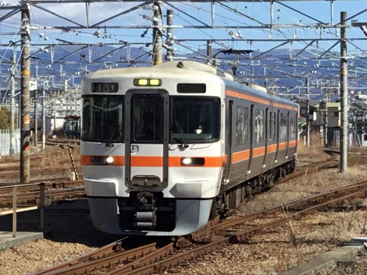 オレンジちゃんの写真集