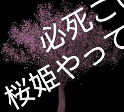 必死こいて桜姫やってやんよ！