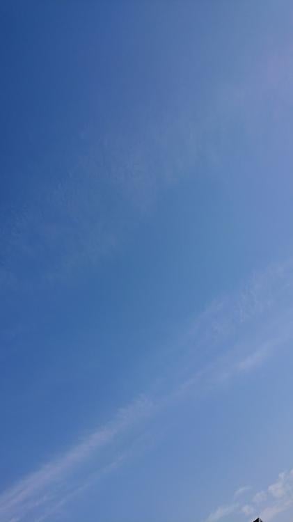 八周年記念小説