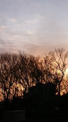 〈BL〉あなたの隣、君の隣