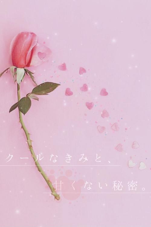 クールなきみと、甘くない秘密。