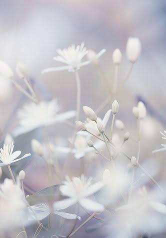 【短編】ロンリー・ホワイト