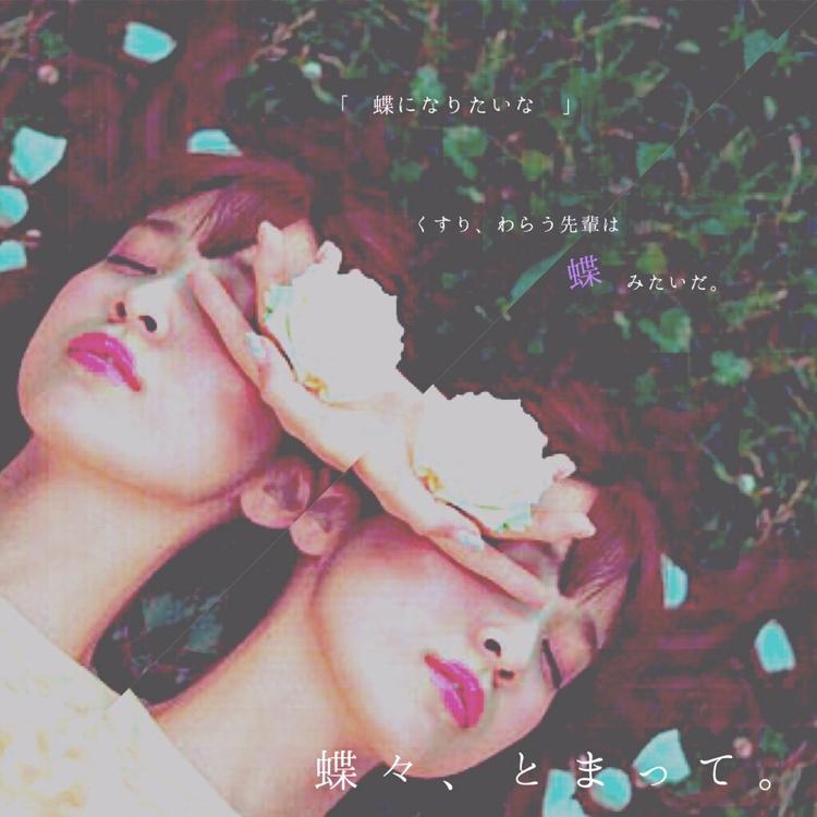 蝶々、とまって。