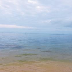 あいの子育て論的な話