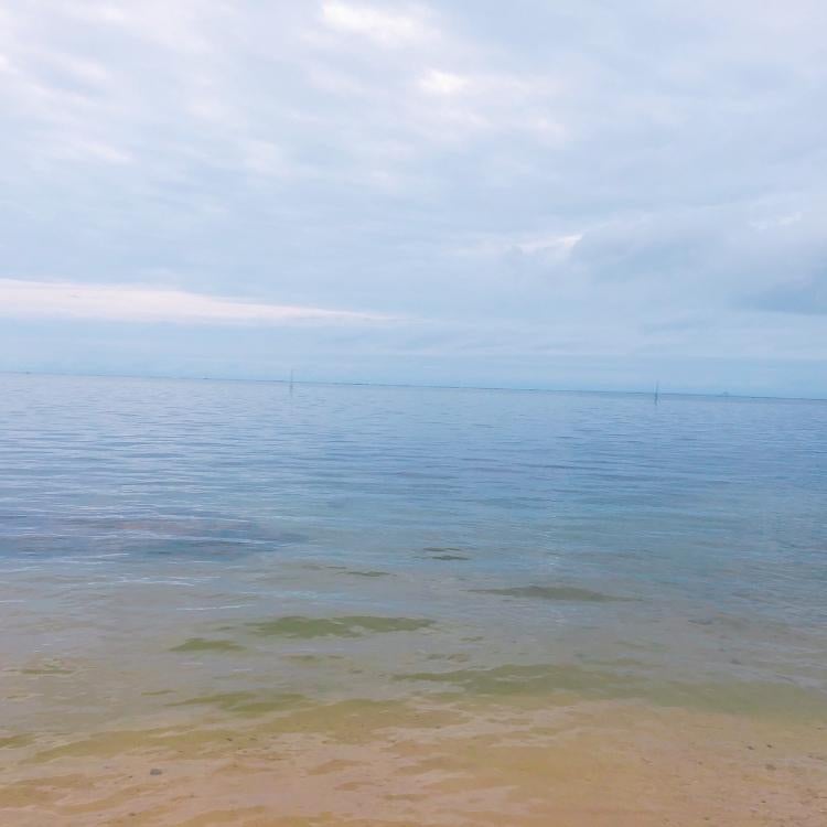 あいの子育て論的な話