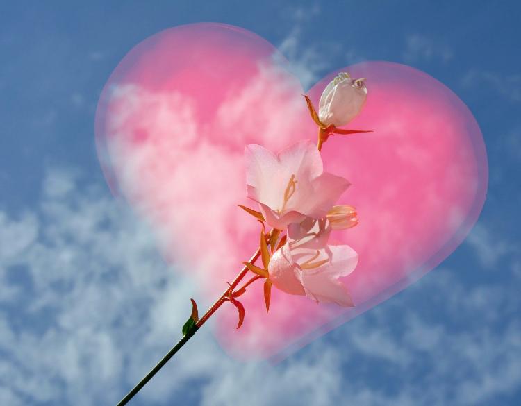 そして、恋の種が花開く。