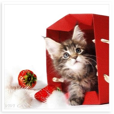 瑛先生とわたし