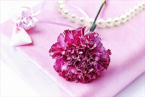 結婚白書Ⅲ　【風花】