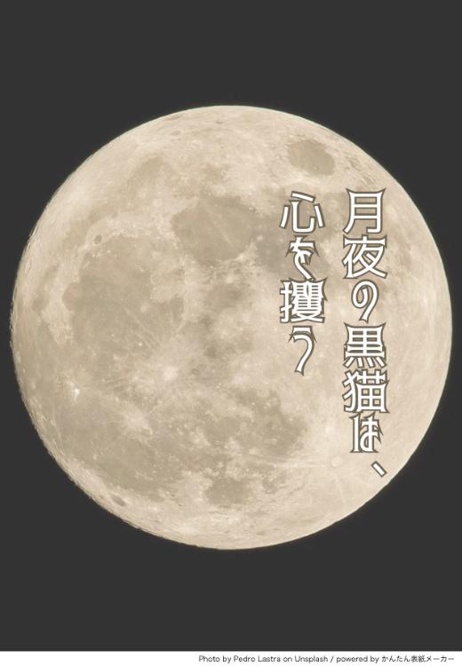 月夜の黒猫は、心を攫う