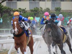 競馬場で騎手に逆プロポーズしてしまいました。