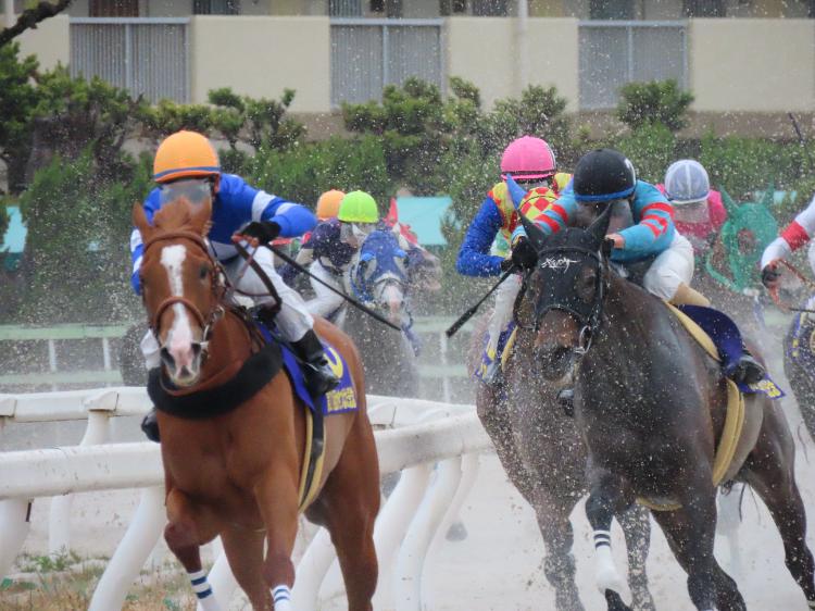 競馬場で騎手に逆プロポーズしてしまいました。