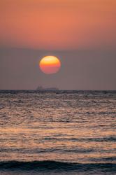 怜悧な外科医の愛は、激甘につき。~でも私、あなたにフラれましたよね?~