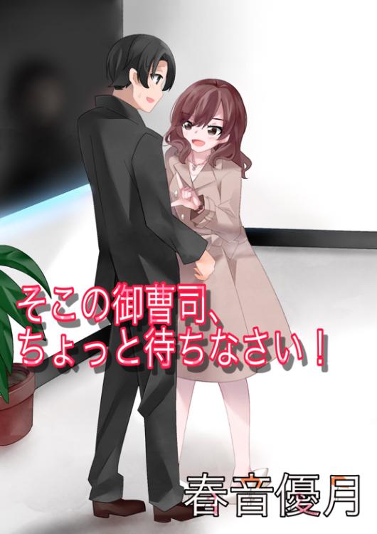 そこの御曹司、ちょっと待ちなさい！