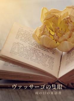 ヴァッサーゴの隻眼『雨の日の来訪者』