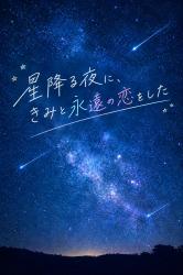 星降る夜に、きみと永遠の恋をした