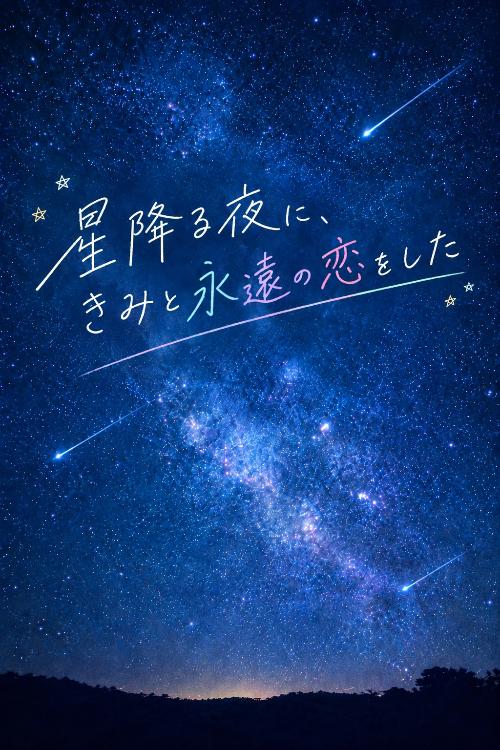 星降る夜に、きみと永遠の恋をした