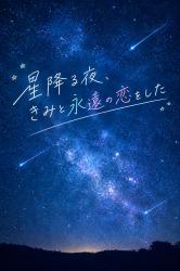 星降る夜、きみと永遠の恋をした