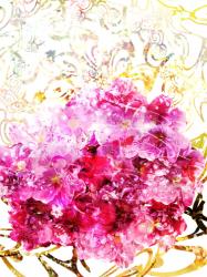 【続】アーモンド~キミとの未来~