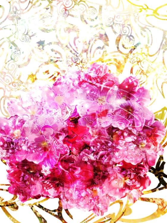 【続】アーモンド~キミとの未来~