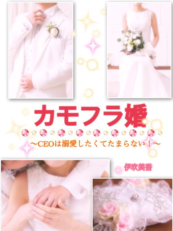 カモフラ婚~CEOは溺愛したくてたまらない~