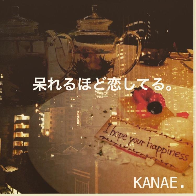 呆れるほど恋してる。