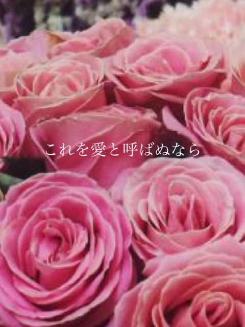 これを愛と呼ばぬなら