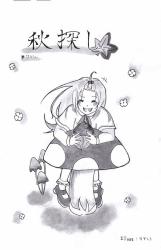 秋探し